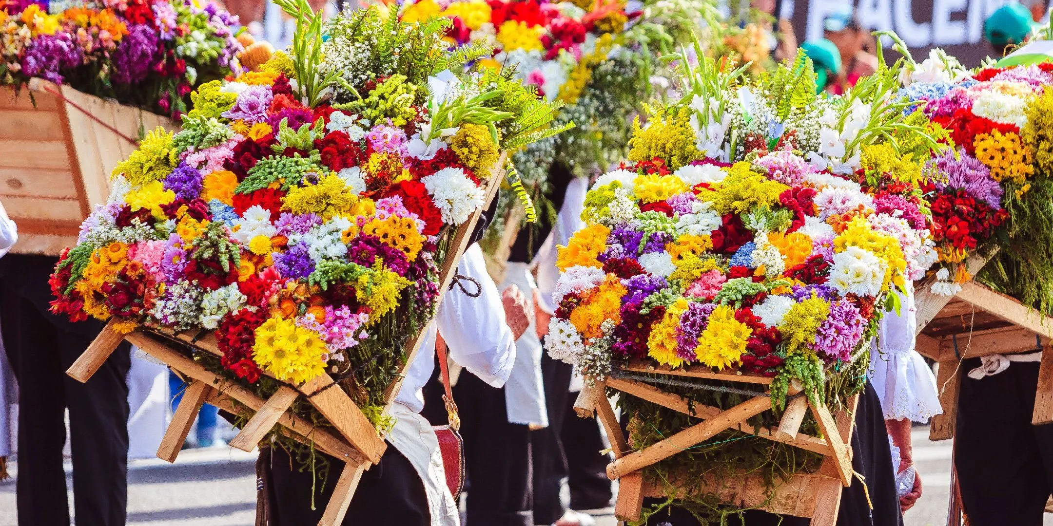 CO_Qué-hacer-en-la-Feria-de-las-Flores-un-festival-de-color-y-alegría-