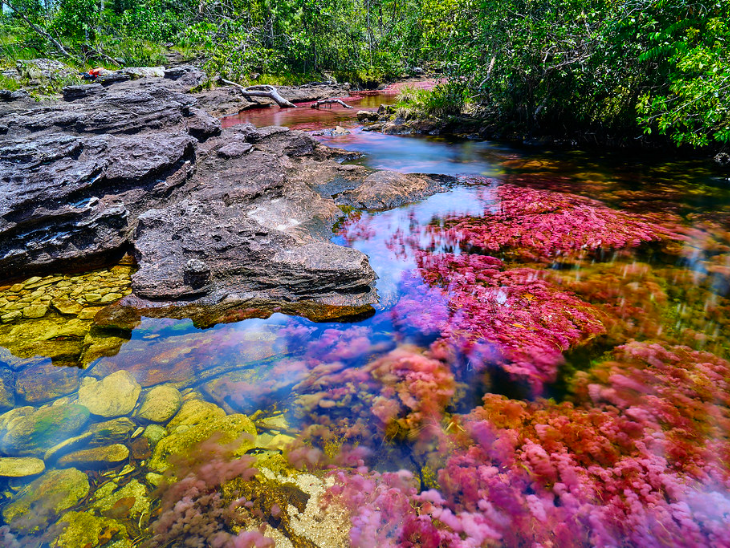Caños cristales