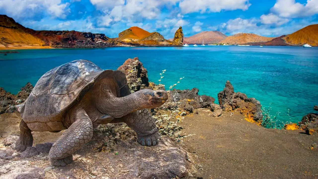 galapagos